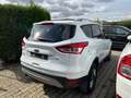 Ford Kuga Titanium Weiß - thumbnail 5