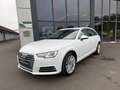 Audi A4 Avant 2.0 TDI Sport MMI Xenon Virtual-Cockpit Blanc - thumbnail 18
