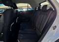 Volkswagen T-Roc 2.0 tdi Life 115cv - thumbnail 14