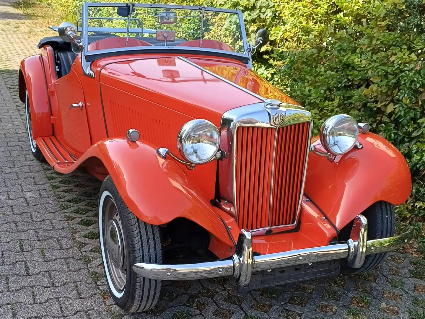 MG TD Roadster Rot - 1