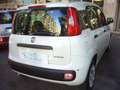 Fiat Panda 1.0 FireFly S&S Hybrid 5°posto Pack City Km0 Blanc - thumbnail 6