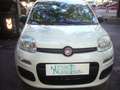 Fiat Panda 1.0 FireFly S&S Hybrid 5°posto Pack City Km0 Blanc - thumbnail 4