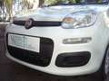 Fiat Panda 1.0 FireFly S&S Hybrid 5°posto Pack City Km0 Blanc - thumbnail 2