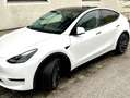 Tesla Model Y Model Y AWD 79kWh Performance Performance Weiß - thumbnail 1