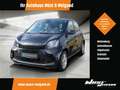 smart forFour EQ forfour Cool&Audio+22KW-Lader+2xKabel+dkl.Gl. Schwarz - thumbnail 1