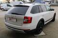 Skoda Octavia Wagon 2.0 tdi Scout c sen. parc. 4x4 150cv Weiß - thumbnail 7