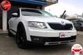 Skoda Octavia Wagon 2.0 tdi Scout c sen. parc. 4x4 150cv Weiß - thumbnail 1