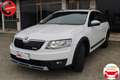 Skoda Octavia Wagon 2.0 tdi Scout c sen. parc. 4x4 150cv Weiß - thumbnail 2