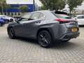 Lexus UX 250h Business Line STOELVERW STUURVERW PARK-SENS CAMERA Grijs - thumbnail 5