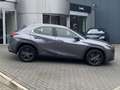 Lexus UX 250h Business Line STOELVERW STUURVERW PARK-SENS CAMERA Grijs - thumbnail 2
