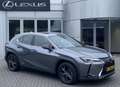 Lexus UX 250h Business Line STOELVERW STUURVERW PARK-SENS CAMERA Grijs - thumbnail 1