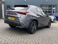 Lexus UX 250h Business Line STOELVERW STUURVERW PARK-SENS CAMERA Grijs - thumbnail 3