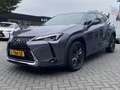 Lexus UX 250h Business Line STOELVERW STUURVERW PARK-SENS CAMERA Grijs - thumbnail 7