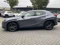 Lexus UX 250h Business Line STOELVERW STUURVERW PARK-SENS CAMERA Grijs - thumbnail 4