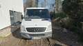 Mercedes-Benz Sprinter 210/211/213/214/216 CDI (906.611/613) Weiß - thumbnail 1