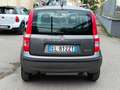 Fiat Panda Panda II 2012 1.4 natural power Active Bronzo - thumbnail 6