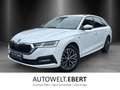Skoda Octavia Combi 1.5 TSI DSG Clever/KAMERA/AHK/LED/ Blanco - thumbnail 1