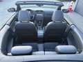 Volkswagen Golf Cabriolet Golf Cabrio Sky BMT 1,6 TDI DPF Violett - thumbnail 5