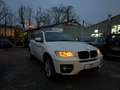 BMW X6 xDrive40d Österreich-Paket Aut. 5 Sitzer Weiß - thumbnail 19