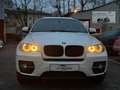 BMW X6 xDrive40d Österreich-Paket Aut. 5 Sitzer Weiß - thumbnail 2