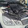 Mercedes-Benz E 250 E 250 CDI DPF BlueEFFICIENCY Automatik Elegance Weiß - thumbnail 17