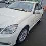 Mercedes-Benz E 250 E 250 CDI DPF BlueEFFICIENCY Automatik Elegance Weiß - thumbnail 6