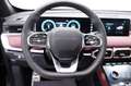 Sportequipe Sportequipe 7 GTW 1.6 T-GDI 185cv DCT GPL Grau - thumbnail 13