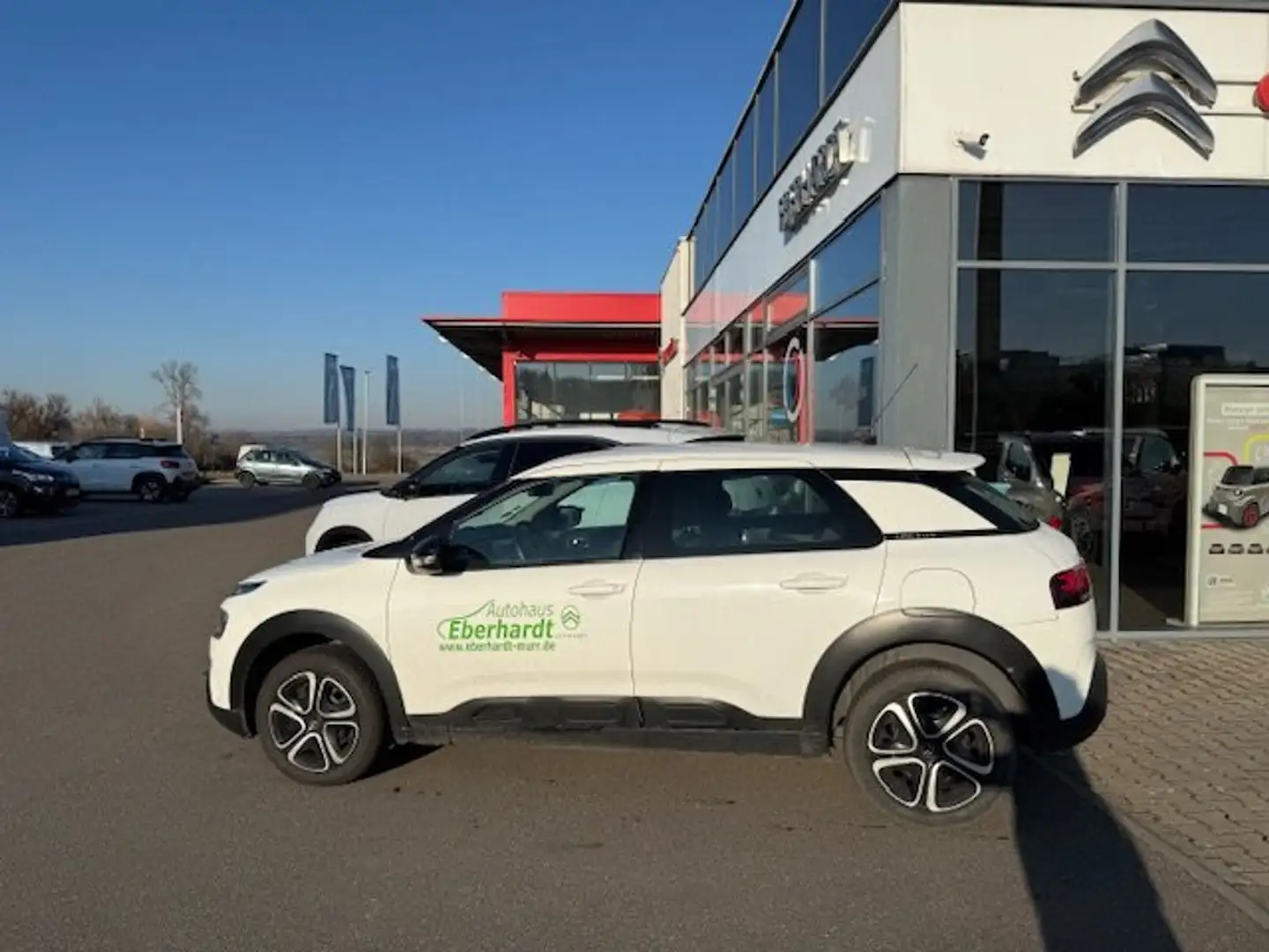 Citroen C4 Cactus Pure Tech 110 Feel Weiß - 2