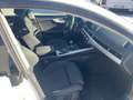 Audi A5 A5 Sportback 2.0 tdi Sport 190cv Bianco - thumbnail 9