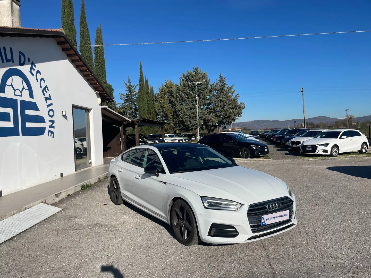 Audi A5 A5 Sportback 2.0 tdi Sport 190cv Bianco - 2