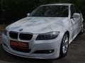 Alpina D3 Bi-Turbo Limousine Switch-Tronic Weiss Xenon Leder Alb - thumbnail 5