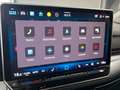 Volkswagen Golf VIII Variant 2.0 TDI Goal AHK/360°/LED/ACC Grau - thumbnail 15
