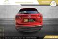 Mazda CX-5 CD175 AWD Revolution Top //1.BESITZ // AUTOMATI... Rot - thumbnail 7
