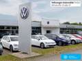 Volkswagen Golf VIII 2.0 TDI Life KLIMA LED SHZ ACC LANE Grau - thumbnail 21