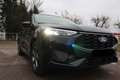 Ford Kuga Hybrid FHEV ST-Line Schwarz - thumbnail 5