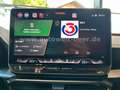 CUPRA Formentor VZ 2.0 TSI 333PS DSG 4Drive *CAM*NAV Bleu - thumbnail 10