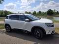 Citroen C5 Aircross Pure Tech 130 S&S LIVE PACK - thumbnail 2
