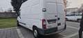 Renault Master - thumbnail 1