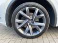 SEAT Tarraco 2.0 TDI FR 4Drive (EURO 6d) Weiß - thumbnail 12