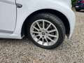 smart forTwo 1000 52 kW MHD cabrio passion Bianco - thumbnail 14