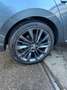 Skoda Superb Style 1.Hand Langstreckenfahrzeug Gris - thumbnail 16