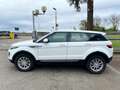 Land Rover Range Rover Evoque 5p 2.0 td4 Pure 150cv auto Weiß - thumbnail 3