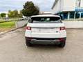 Land Rover Range Rover Evoque 5p 2.0 td4 Pure 150cv auto Weiß - thumbnail 5