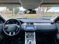 Land Rover Range Rover Evoque 5p 2.0 td4 Pure 150cv auto Weiß - thumbnail 7