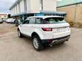 Land Rover Range Rover Evoque 5p 2.0 td4 Pure 150cv auto Weiß - thumbnail 4