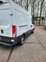 Iveco Daily 35S14V 2.3 352 H2 Trekhaak 3.500 kg Wit - thumbnail 3
