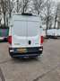 Iveco Daily 35S14V 2.3 352 H2 Trekhaak 3.500 kg Wit - thumbnail 4