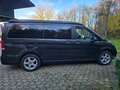 Mercedes-Benz V 300 V 300 d Kombi 4MATIC extralang Aut. Ma,-Polo Schwarz - thumbnail 3