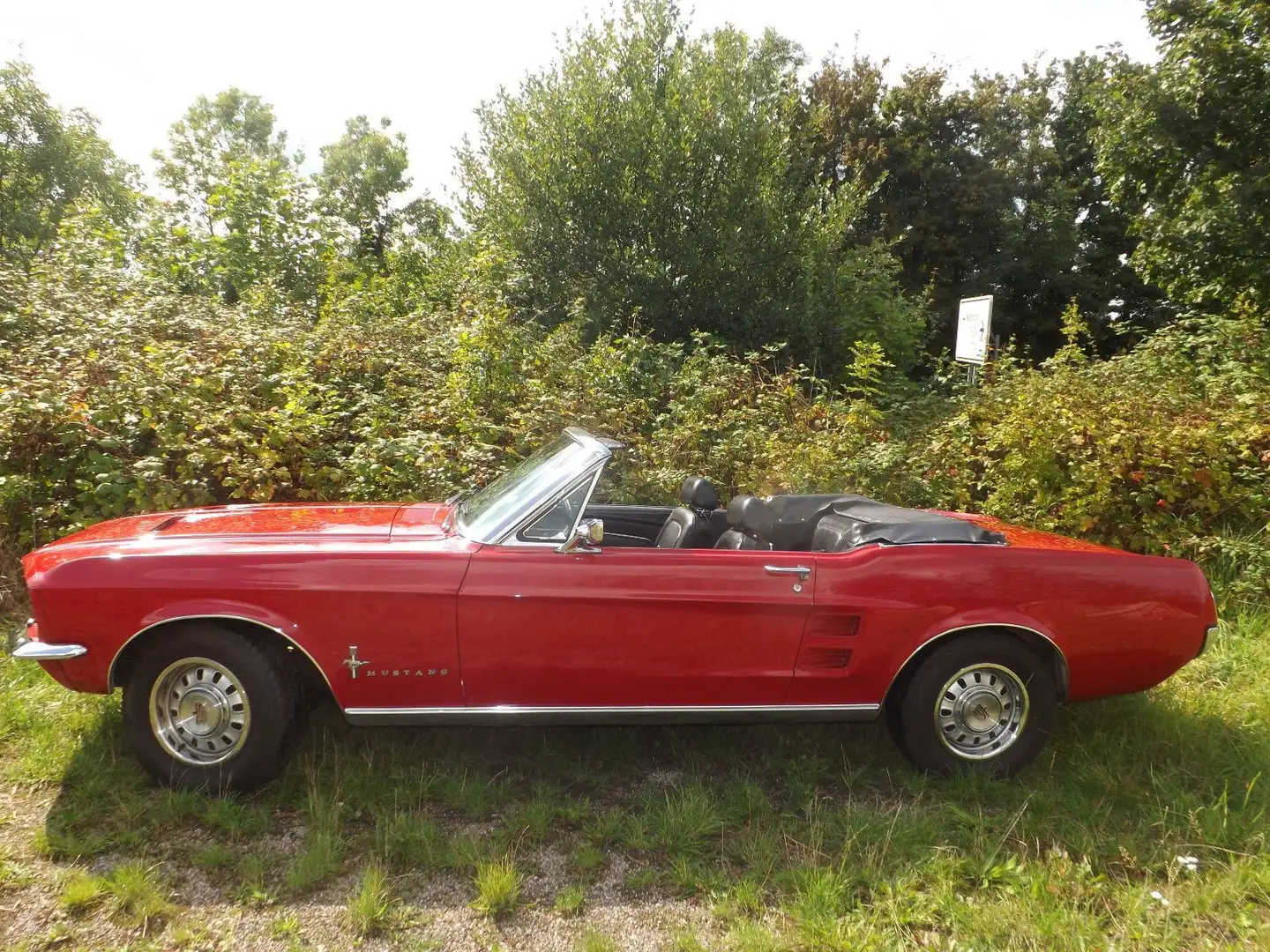 Ford Mustang Top Zustand und sogar mit Schaltgetriebe Rot - 2