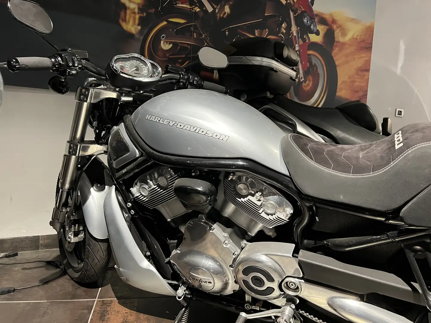 Harley-Davidson Street Rod - 1